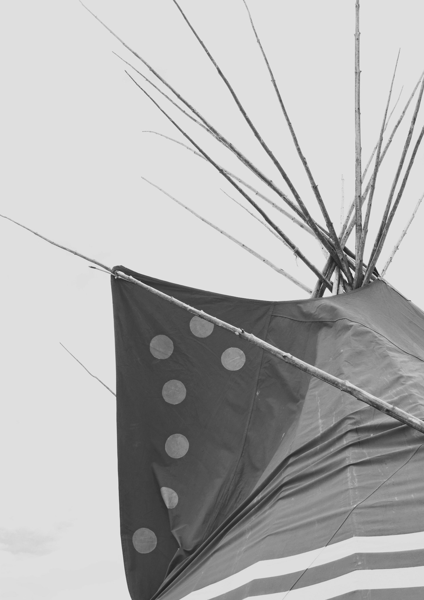 Niitsitapi Livestock Production Certificate Program Red Crow